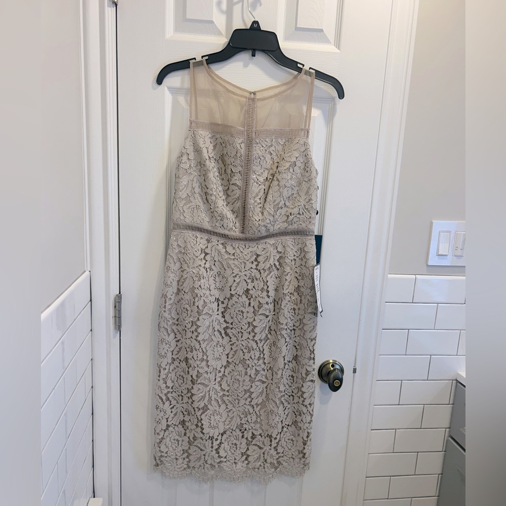 NWT Adrianna Papell Lace Dress in Taupe
